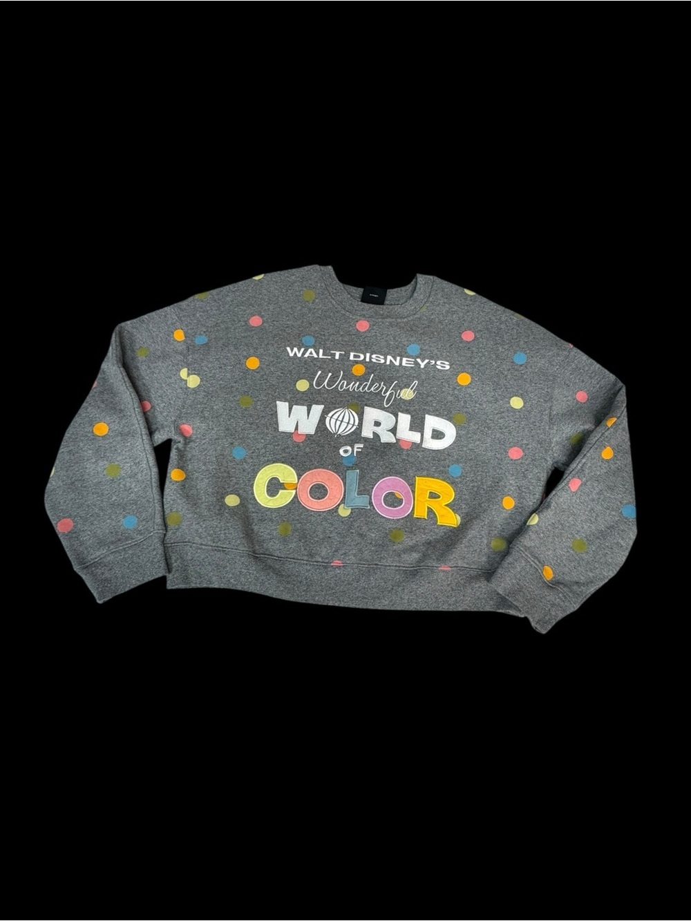 Disney Gray Polka Dot world of color Crewneck Sweatshirt